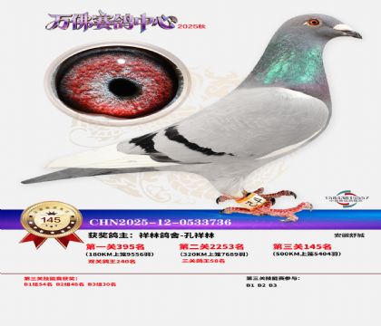 ����������145��