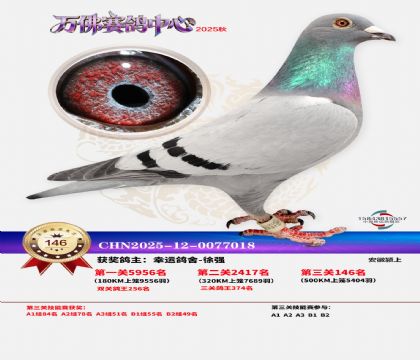 ����������146��