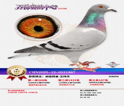 ����������147��