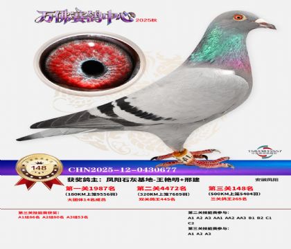 ����������148��