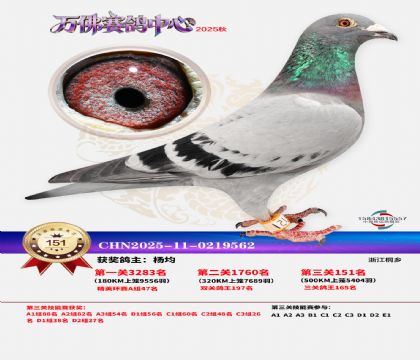 ����������151��