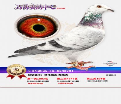 ����������154��