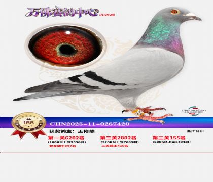 ����������155��