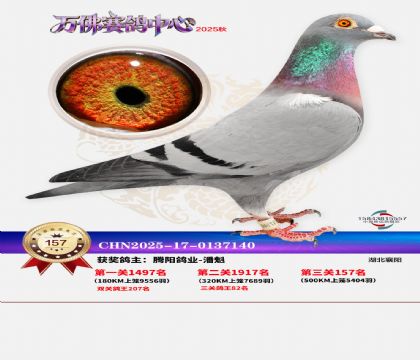 ����������157��