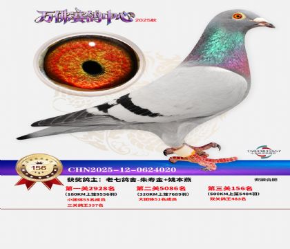 ����������156��