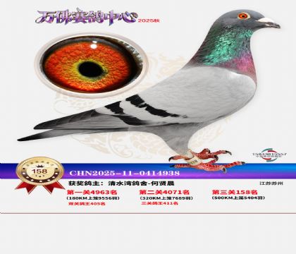 ����������158��