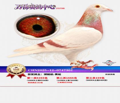 ����������159��