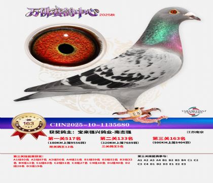 ����������163��