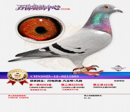 ����������162��