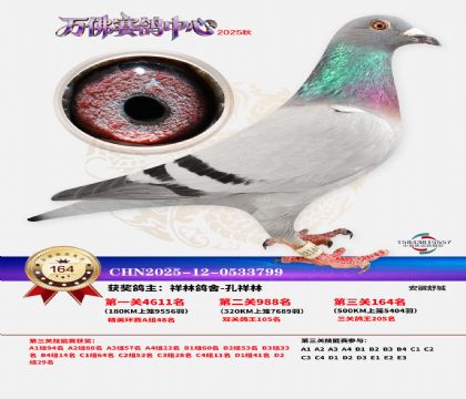 ����������164��