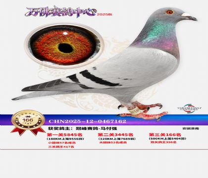 ����������166��