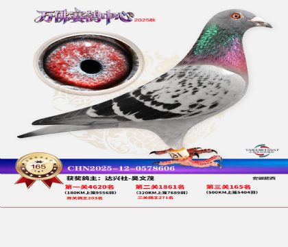 ����������165��