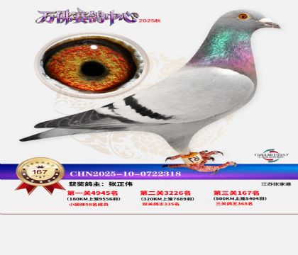 ����������167��