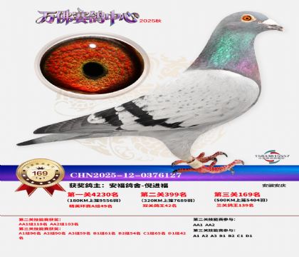 ����������169��