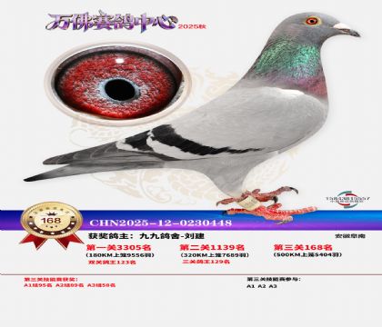 ����������168��