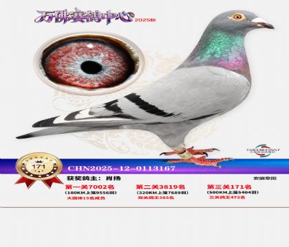 ����������171��