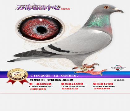 ����������173��