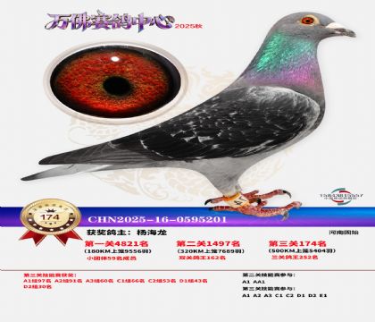 ����������174��