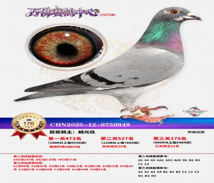 ����������176��