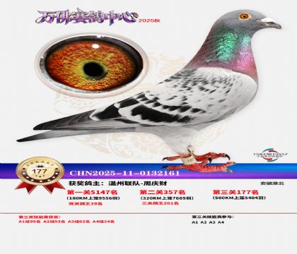 ����������177��