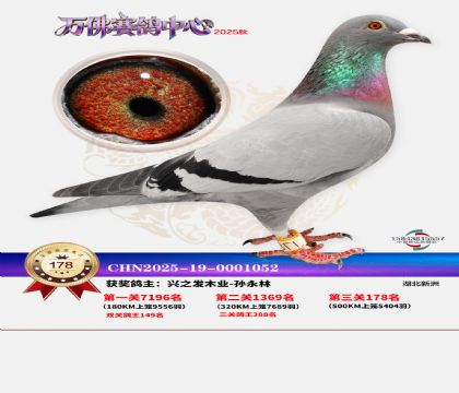 ����������178��