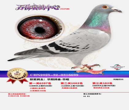 ����������182��