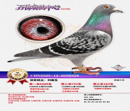 ����������183��