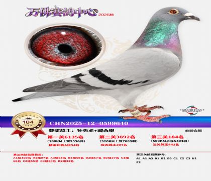 ����������184��