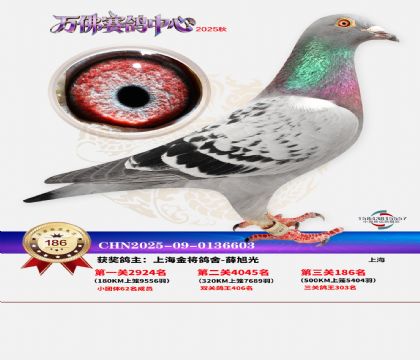 ����������186��