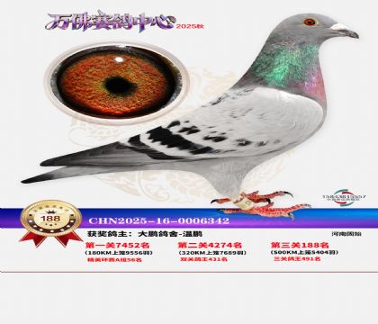 ����������188��