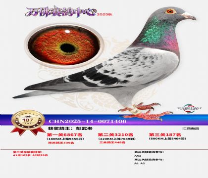 ����������187��