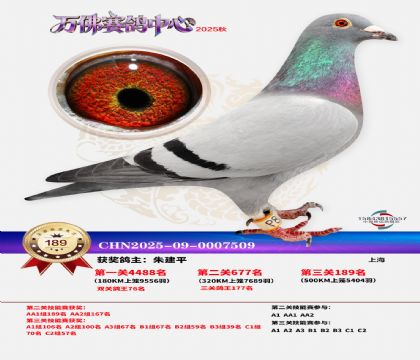 ����������189��