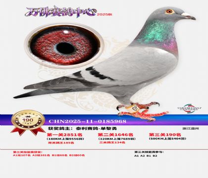 ����������190��