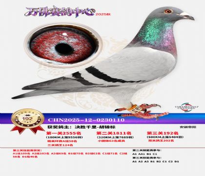 ����������192��