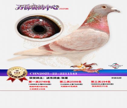 ����������194��