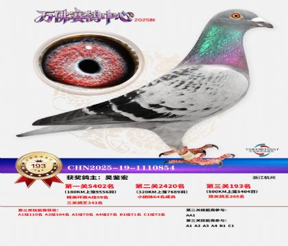 ����������193��