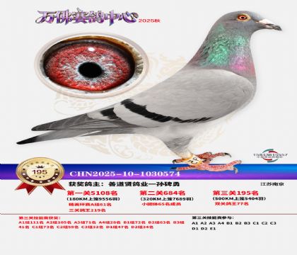 ����������195��