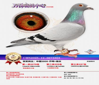 ����������197��