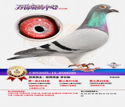 ����������198��