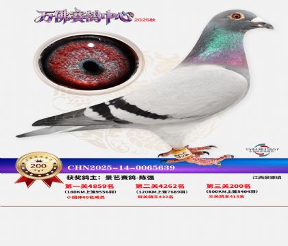 ����������200��