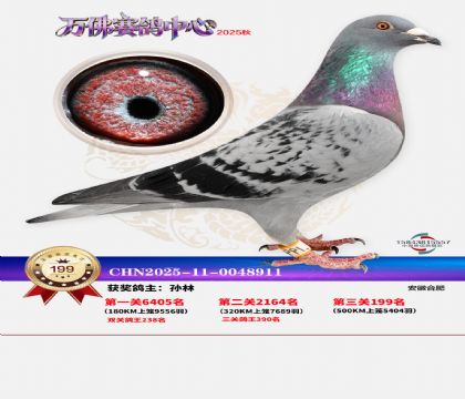 ����������199��