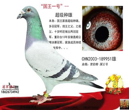 �游һ����1��