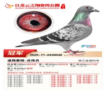 ������֮������ھ�