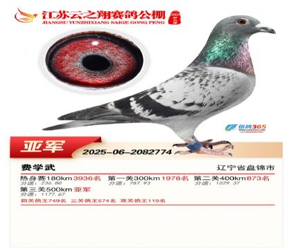 ������֮������Ǿ�