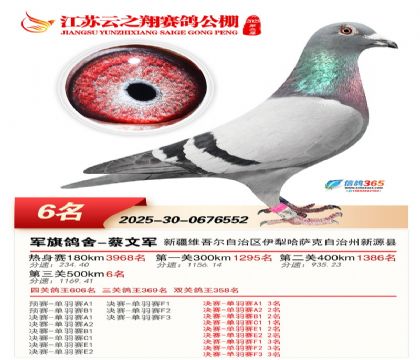 ������֮�����6��