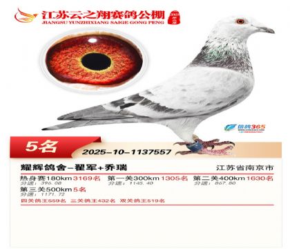 ������֮�����5��