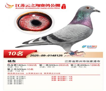 ������֮�����10��