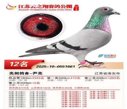 ������֮�����12��