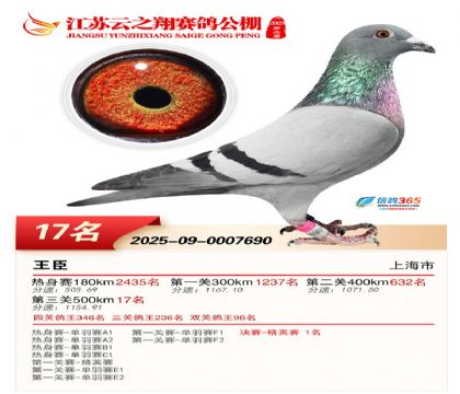 ������֮�����17��