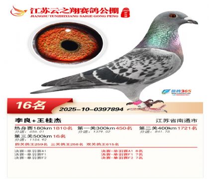 ������֮�����16��